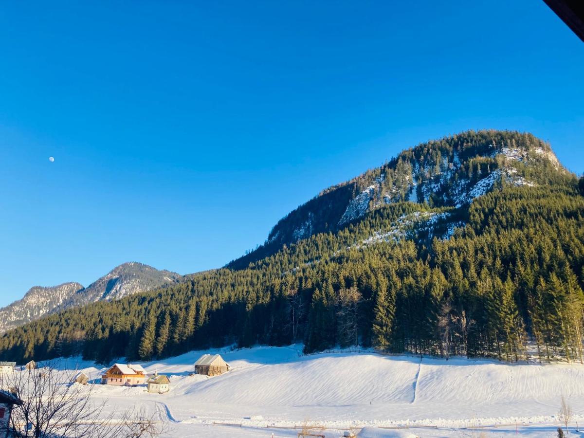 Hallstatt Dachstein Inn Gosau Exterior foto