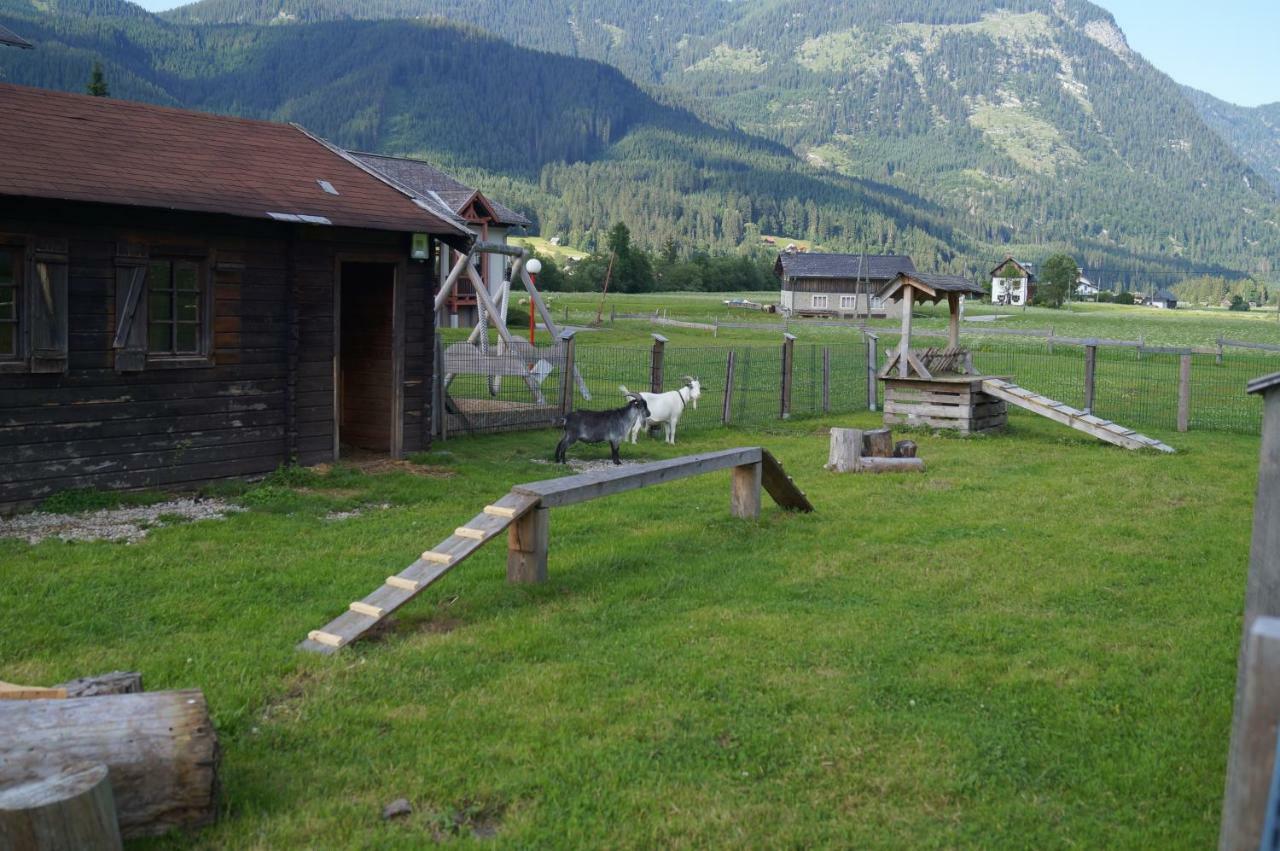 Hallstatt Dachstein Inn Gosau Exterior foto